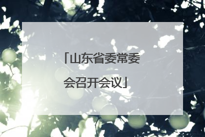 山东省委常委会召开会议