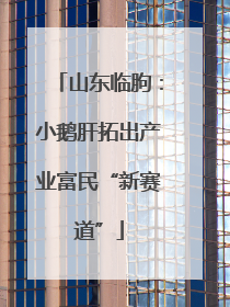 山东临朐：小鹅肝拓出产业富民“新赛道”