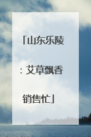 山东乐陵：艾草飘香销售忙
