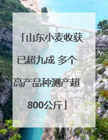 山东小麦收获已超九成 多个高产品种测产超800公斤
