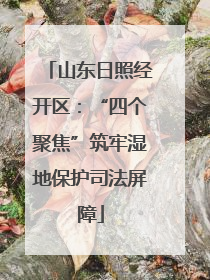 山东日照经开区：“四个聚焦”筑牢湿地保护司法屏障