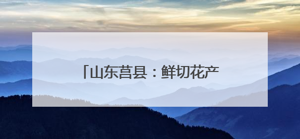 山东莒县：鲜切花产业成为当地农业增效、农民增收的重要产业发展和特色品牌