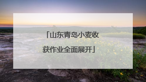 山东青岛小麦收获作业全面展开