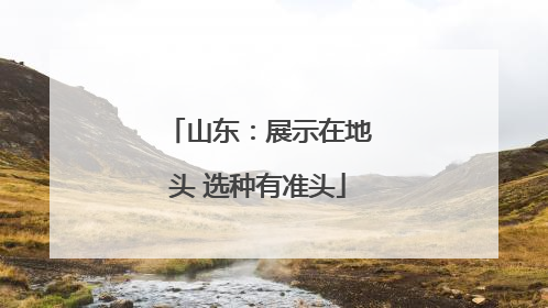 山东：展示在地头 选种有准头