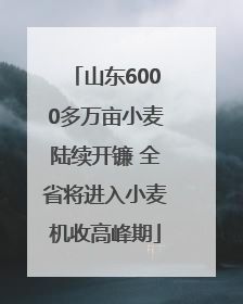 山东6000多万亩小麦陆续开镰 全省将进入小麦机收高峰期