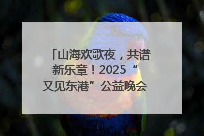 山海欢歌夜，共谱新乐章！2025“又见东港”公益晚会奏响文旅强音