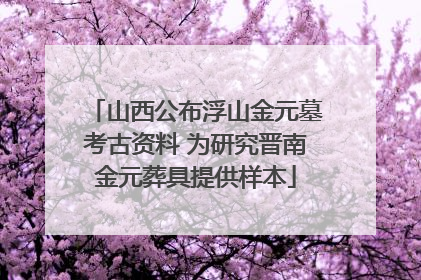 山西公布浮山金元墓考古资料 为研究晋南金元葬具提供样本