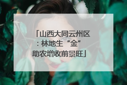 山西大同云州区：林地生“金” 助农增收前景旺