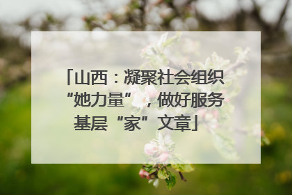 山西：凝聚社会组织“她力量”，做好服务基层“家”文章