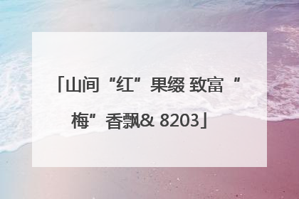 山间“红”果缀 致富“梅”香飘& 8203