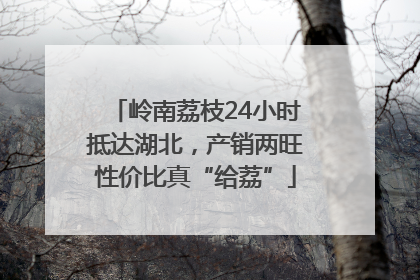 岭南荔枝24小时抵达湖北，产销两旺性价比真“给荔”