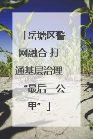 岳塘区警网融合 打通基层治理“最后一公里”