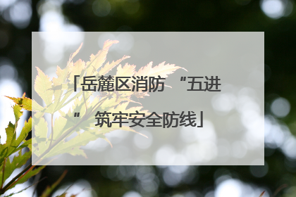 岳麓区消防 “五进” 筑牢安全防线