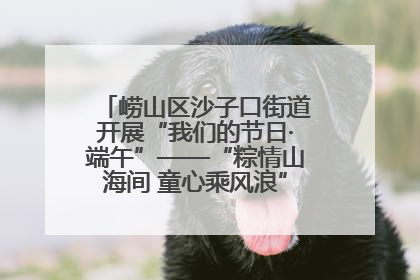 崂山区沙子口街道开展“我们的节日·端午”——“粽情山海间 童心乘风浪”文明实践活动