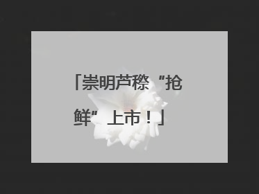 崇明芦穄“抢鲜”上市！