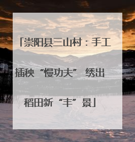 崇阳县三山村：手工插秧“慢功夫” 绣出稻田新“丰”景