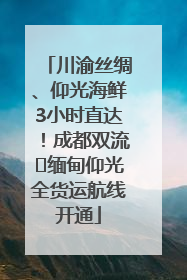 川渝丝绸、仰光海鲜3小时直达！成都双流⇌缅甸仰光全货运航线开通