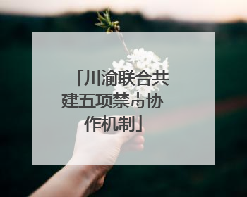 川渝联合共建五项禁毒协作机制