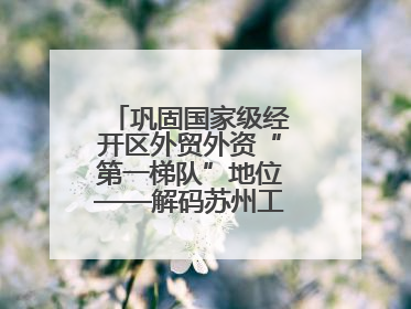 巩固国家级经开区外贸外资“第一梯队”地位——解码苏州工业园区样本