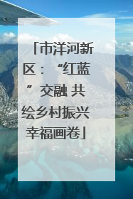 市洋河新区：“红蓝”交融 共绘乡村振兴幸福画卷