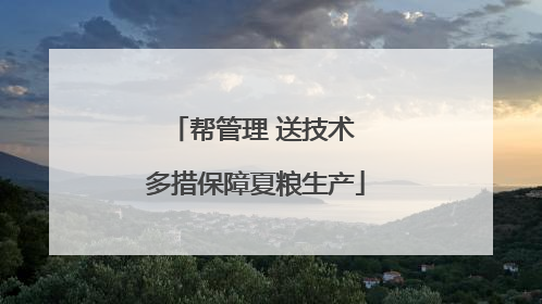 帮管理 送技术 多措保障夏粮生产