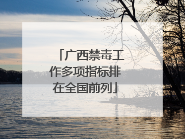 广西禁毒工作多项指标排在全国前列