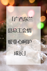 广西东兰县总工会情暖童心呵护成长