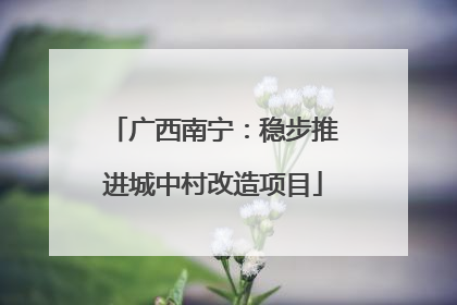 广西南宁：稳步推进城中村改造项目