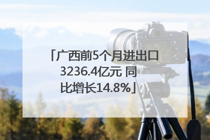 广西前5个月进出口3236.4亿元 同比增长14.8%