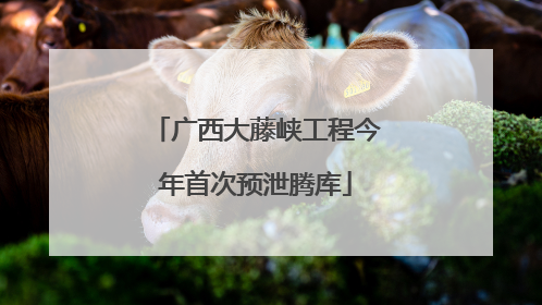 广西大藤峡工程今年首次预泄腾库