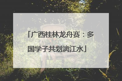 广西桂林龙舟赛：多国学子共划漓江水