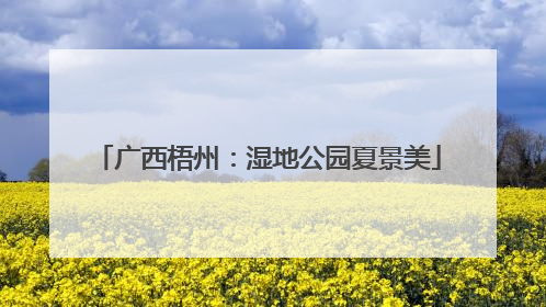 广西梧州：湿地公园夏景美