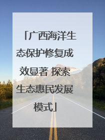 广西海洋生态保护修复成效显著 探索生态惠民发展模式
