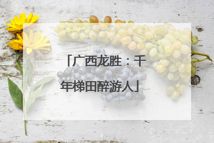 广西龙胜：千年梯田醉游人