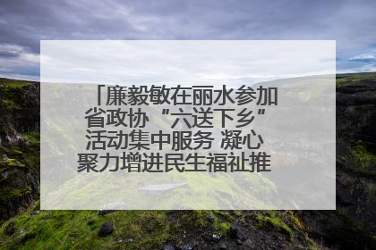 廉毅敏在丽水参加省政协“六送下乡”活动集中服务 凝心聚力增进民生福祉推进共同富裕