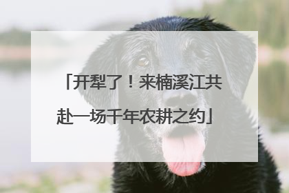 开犁了！来楠溪江共赴一场千年农耕之约