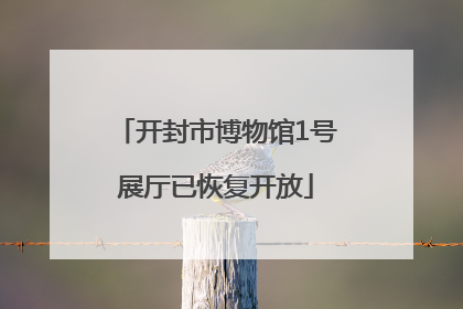 开封市博物馆1号展厅已恢复开放