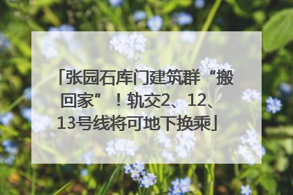 张园石库门建筑群“搬回家”！轨交2、12、13号线将可地下换乘