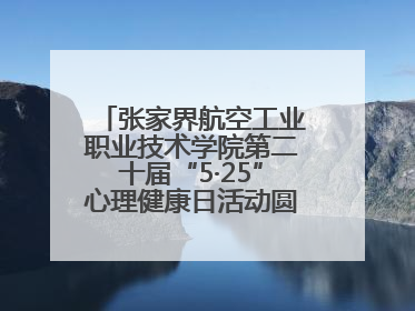 张家界航空工业职业技术学院第二十届“5·25”心理健康日活动圆满收官