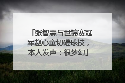 张智霖与世锦赛冠军赵心童切磋球技，本人发声：很梦幻