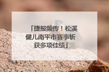 捷报频传！松溪健儿南平市赛事斩获多项佳绩
