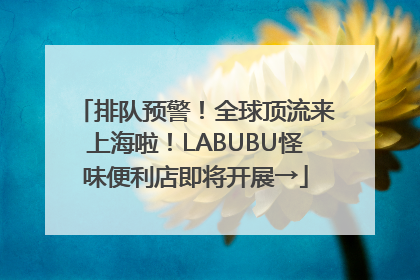 排队预警！全球顶流来上海啦！LABUBU怪味便利店即将开展→