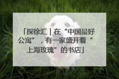 探徐汇｜在“中国最好公寓”，有一家盛开着“上海玫瑰”的书店