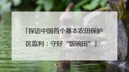 探访中国首个基本农田保护区监利：守好“饭碗田”