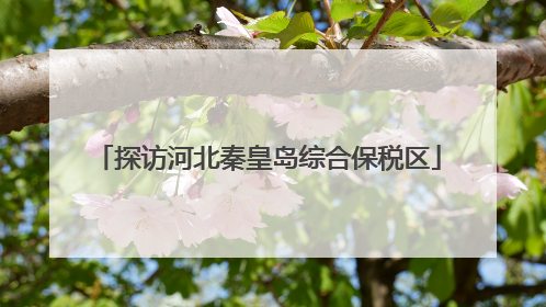 探访河北秦皇岛综合保税区