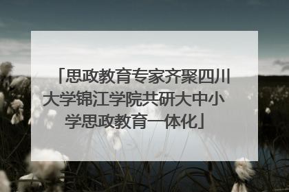 思政教育专家齐聚四川大学锦江学院共研大中小学思政教育一体化