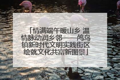 情满端午暖山乡 温情脉动润乡邻——鸬鸟镇新时代文明实践街区绘就文化共富新图景