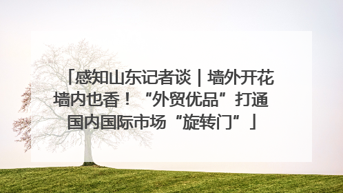 感知山东记者谈｜墙外开花墙内也香！“外贸优品”打通国内国际市场“旋转门”