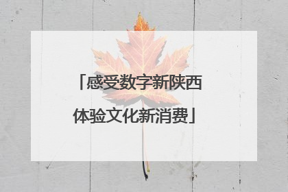 感受数字新陕西 体验文化新消费