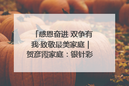 感恩奋进 双争有我·致敬最美家庭｜贺彦霞家庭：银针彩线绣出好日子